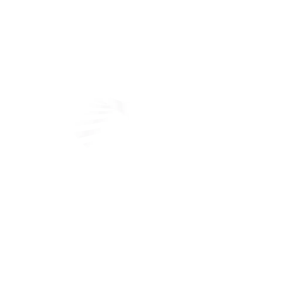 Rijnbrink