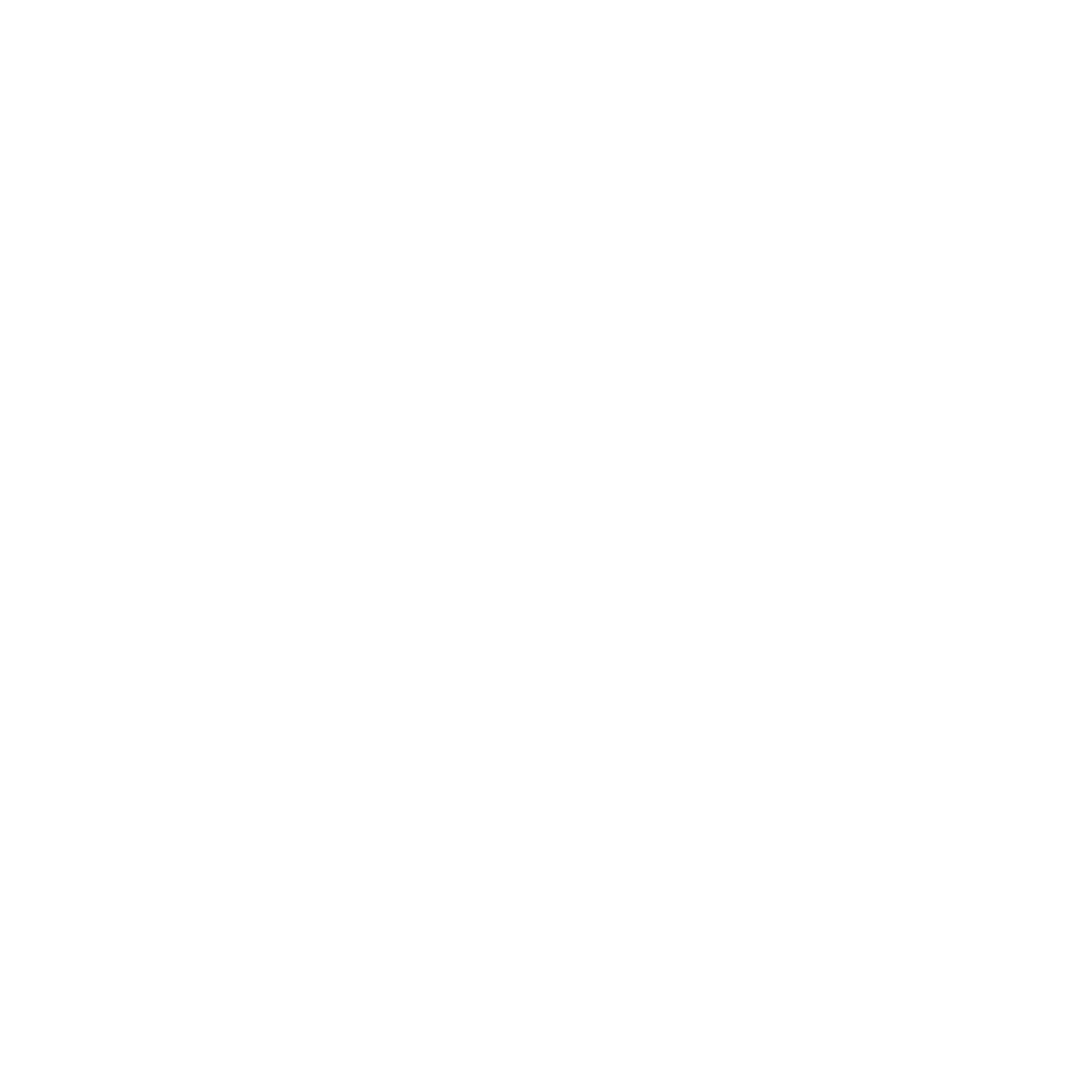 Willemspark advocaten